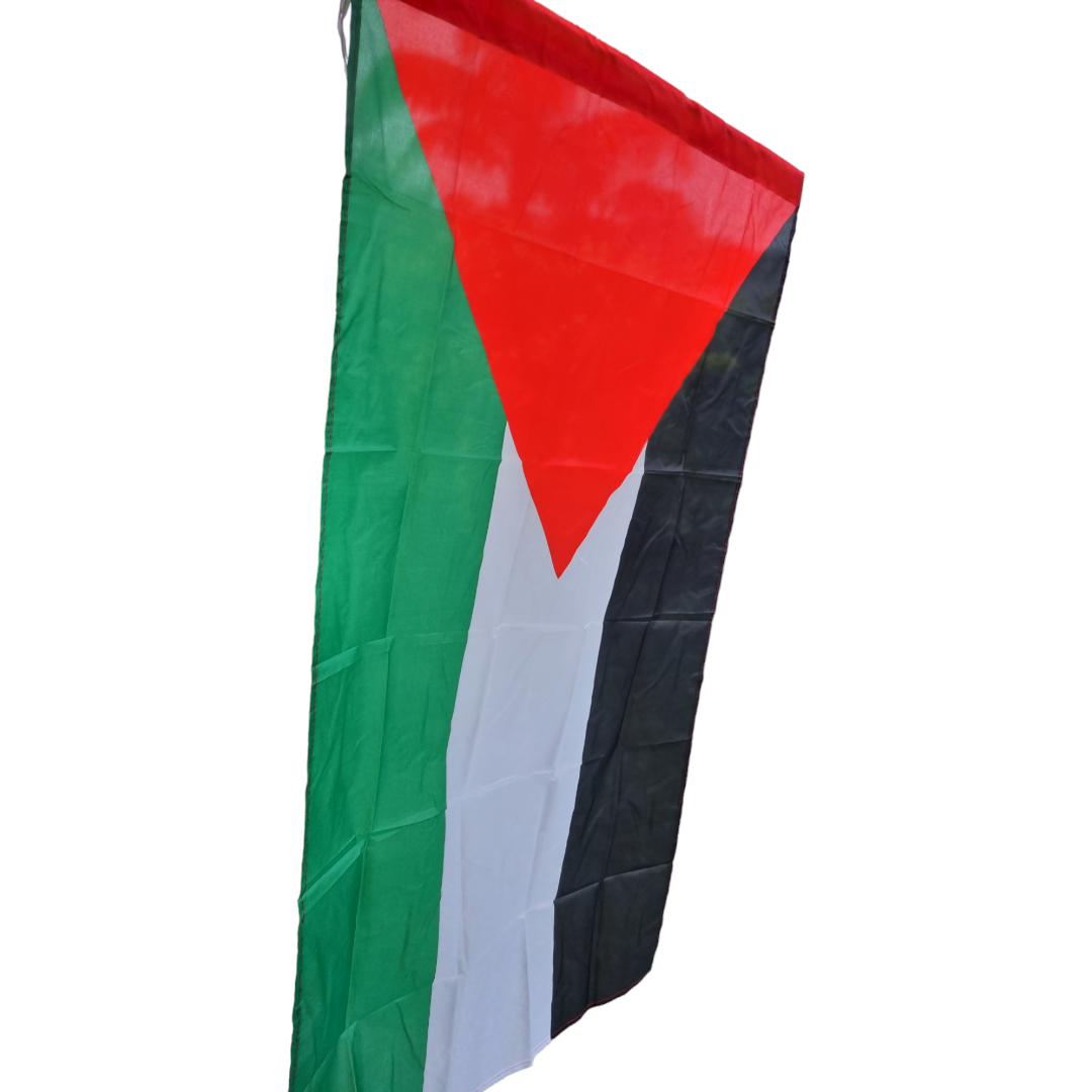 Palestine flag horizontal